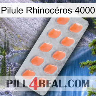 Pilule Rhinocéros 4000 26
